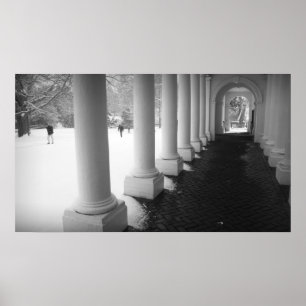 Póster Colonnade in the Snow
