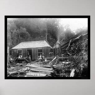 Póster Colonos Homestead en Nueva Zelandia, 1906