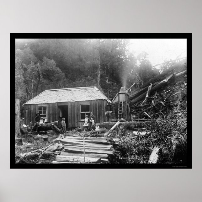 Póster Colonos Homestead en Nueva Zelandia, 1906 (Frente)