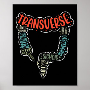 Póster Colonoscopía Gi Divertida Endoscopia Enfermera Ana
