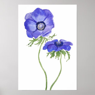 Póster color azul morado de las flores anemónicas