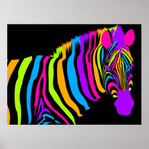Póster Color Burst Zebra
