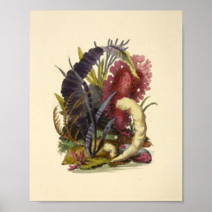 Póster Color Coral Art Ocean Garden Imprimir