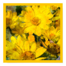 Color de agua amarillo de las flores de margarita