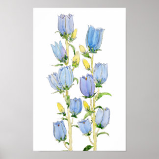 Póster color de agua de las campanas de Canterbury azul y
