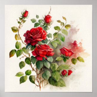 Póster Color de agua de las rosas rojas