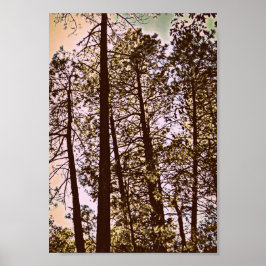 Póster color de los árboles