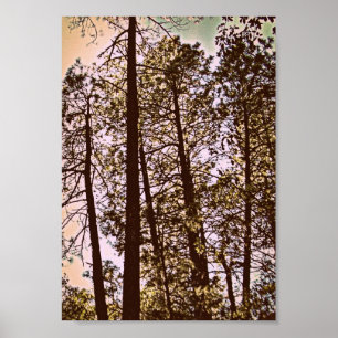 Póster color de los árboles