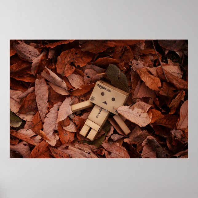 Póster Color de otoño (Frente)