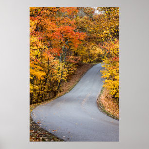 Póster Color de Otoño en Brown County State Park