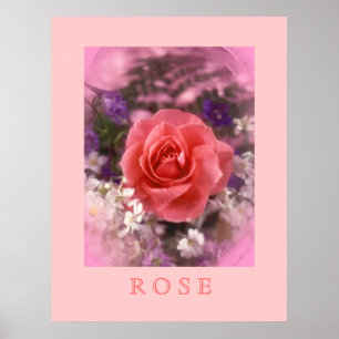 Póster Color de rosa