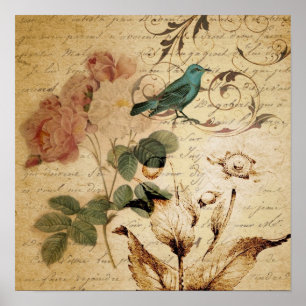 Póster color de rosa botánico francés de París del pájaro