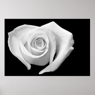 Póster Color de rosa en forma de corazón, blanco y negro