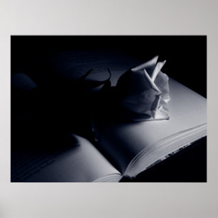 Póster Color de rosa literario