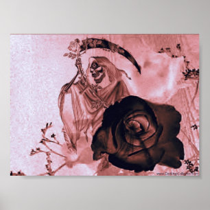 PÓSTER COLOR DE ROSA NEGRO