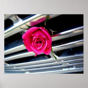 Póster Color de rosa rosado en el poster de la parrilla