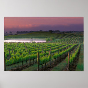Póster Color del amanecer en la niebla distante detrás