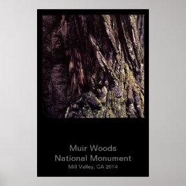 Póster Color del monumento nacional Muir Woods (oscuro)