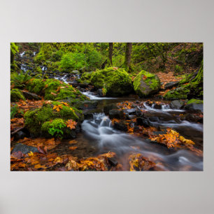 Póster Color del otoño a lo largo de las cataratas Starva