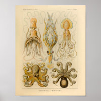 Color del pulpo vintage Ernst Haeckel Art Print