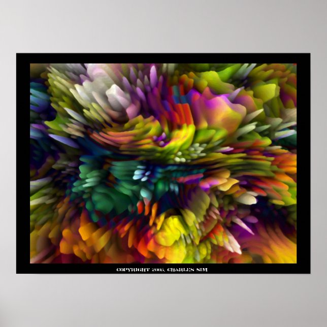 Póster Color Explosion (Frente)