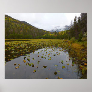 Póster Color Otoñal en Cub Lake