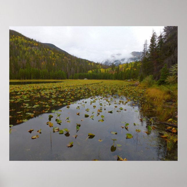Póster Color Otoñal en Cub Lake (Frente)