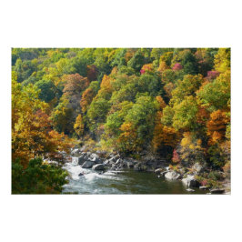 Póster Color Otoñal en Ohiopyle State Park