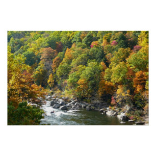 Póster Color Otoñal en Ohiopyle State Park