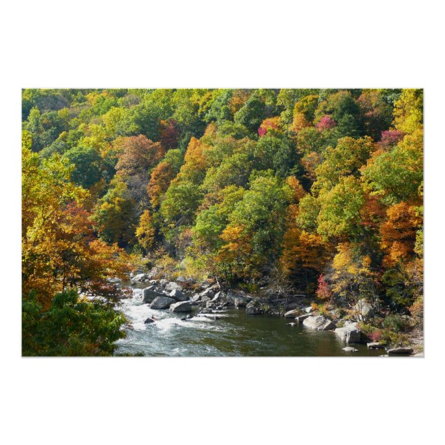 Póster Color Otoñal en Ohiopyle State Park (Anverso)