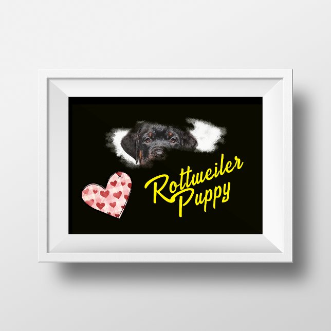 Póster Color sólido de los ojos de Rottweiler (Subido por el creador)
