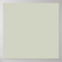 Póster Color sólido del sabio blanco