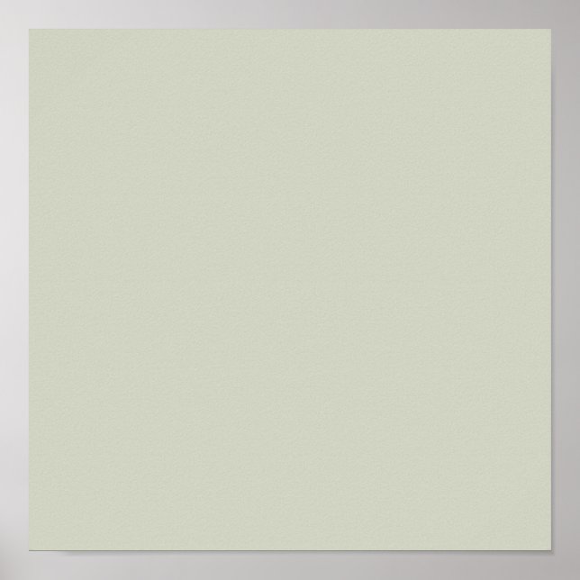 Póster Color sólido del sabio blanco (Frente)