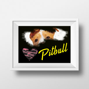 Póster Color sólido Pitbull Eyes