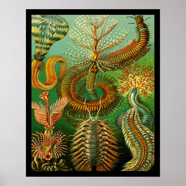 Póster Color submarino (Frente)