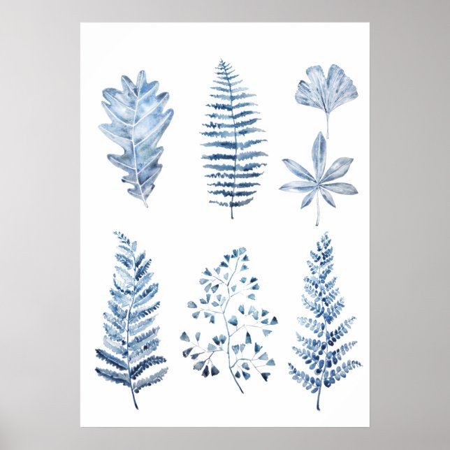 Póster coloración de hojas azul índigo (Frente)