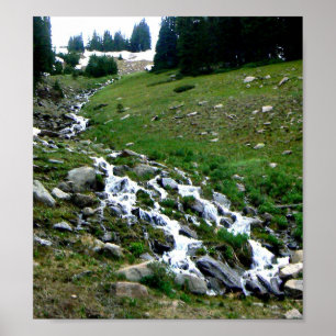 Póster Colorado Melt Water