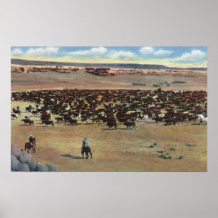 Póster Colorado - Rounding Cowboys