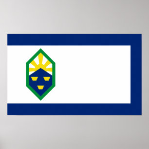 Póster Colorado Springs Flag