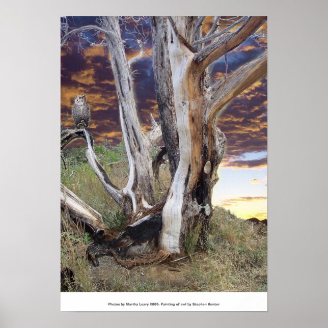 Póster Colorado Sunset (Frente)