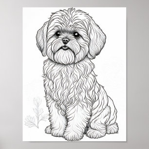 Póster Colorante adulto de perro apso de Llasa