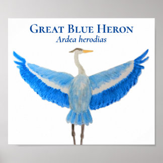 Póster Colorante de pájaro científico Gran Hernera Azul