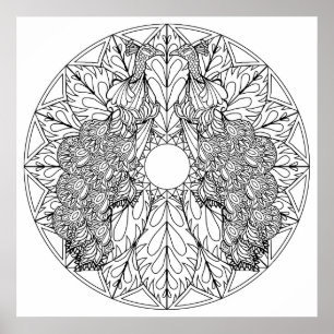 Póster Colorea tu propio Poster de color Mandala Peacocks