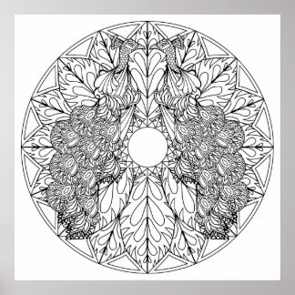 Póster Colorea tu propio Poster de color Mandala Peacocks