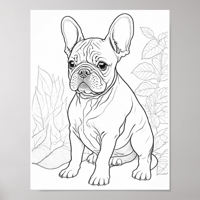 Póster Colores adultos de Bulldog francés (Frente)