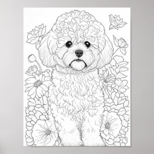 Póster Colores de adultos Bichon Frise