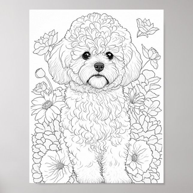 Póster Colores de adultos Bichon Frise (Frente)