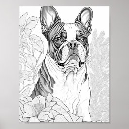 Póster Colores de adultos del Boston Terrier