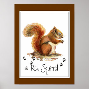 Póster Colores de agua originales Red Squirrel Traces Ani