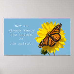 Póster Colores de espíritu